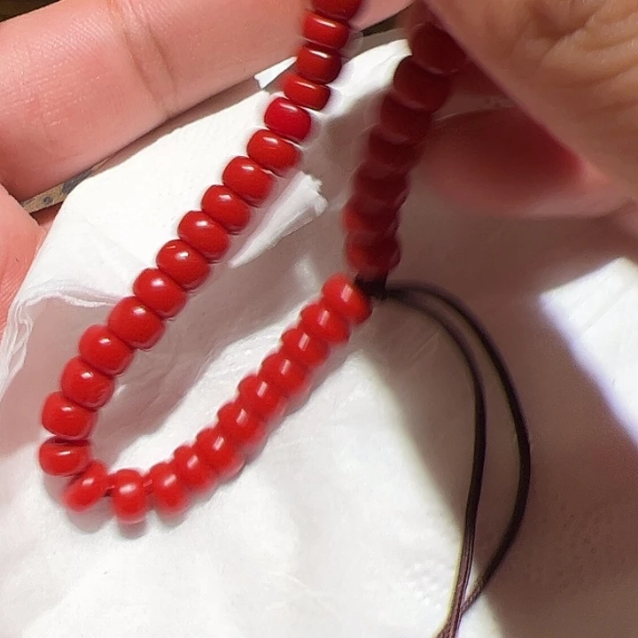 香榧木你是一种什么