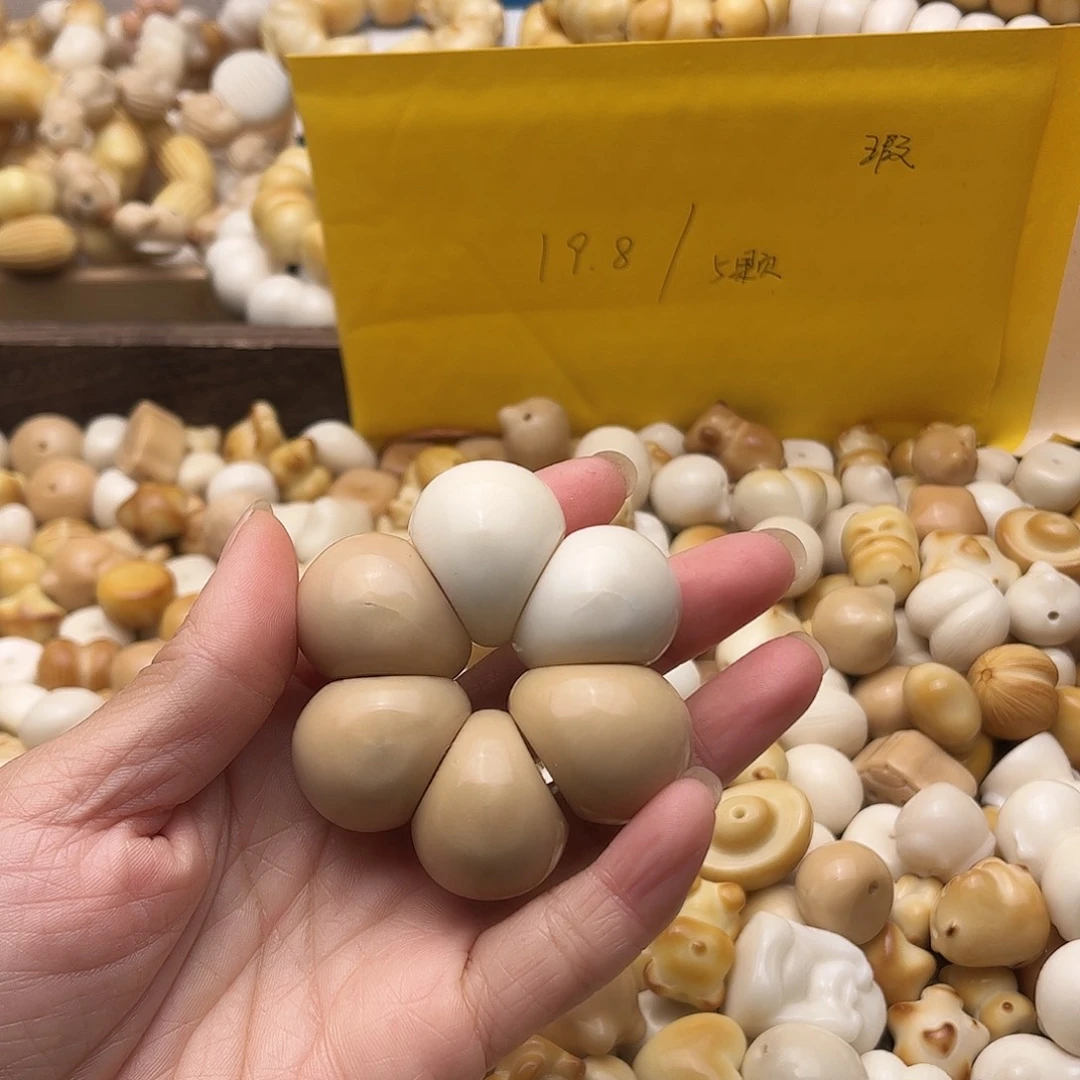 吊坠菩提根/象牙果