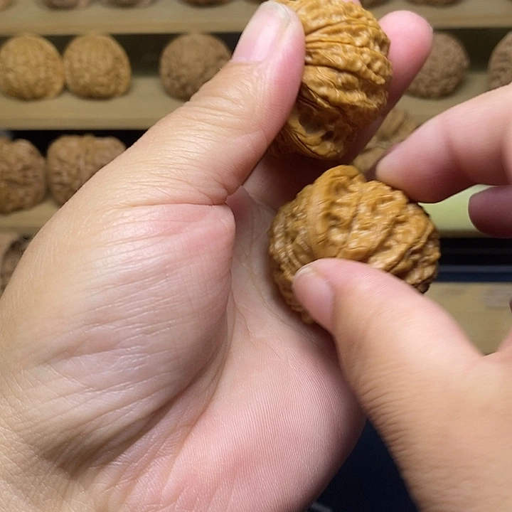 大叶紫檀（黑酸枝木类）血麒麟