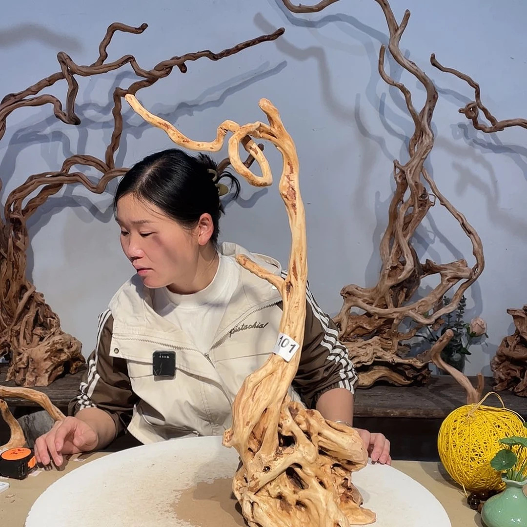 核桃木/黑胡桃（胡桃木）摄***松