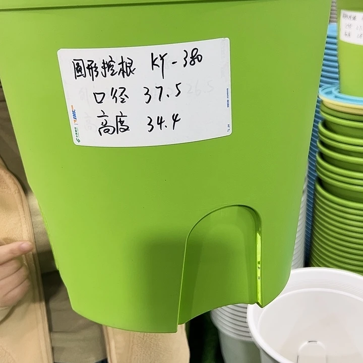 正品圆控口38高34果绿色无托3只