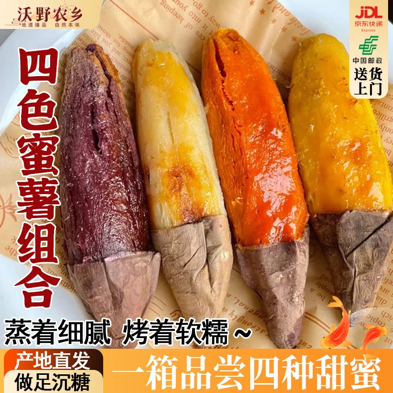 沃野农乡 | 正宗四色蜜薯组合红薯烟薯紫薯白哈密玛莎莉新鲜美味