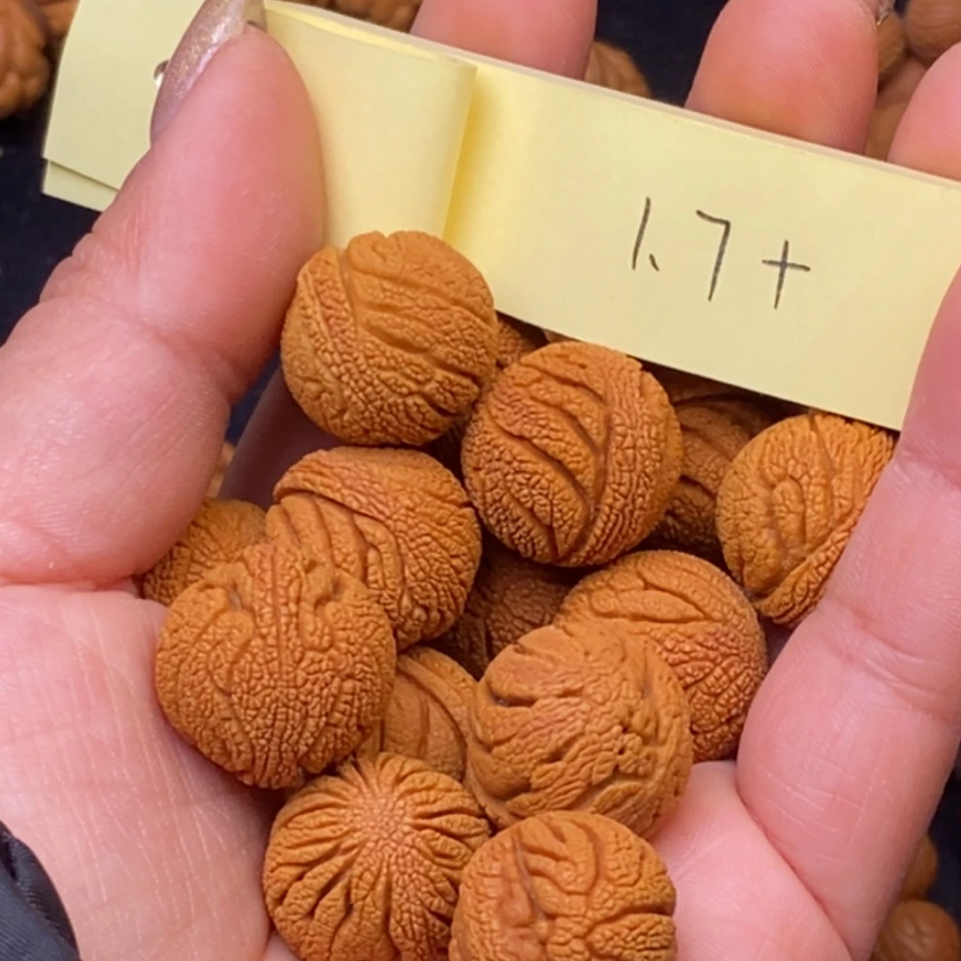 秦岭龙纹桃核14颗