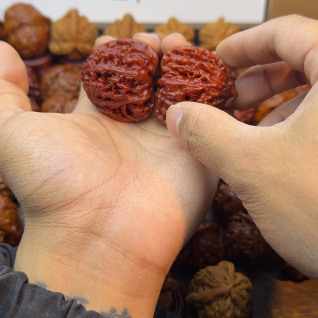 *****菩提籽类三角白宝贝