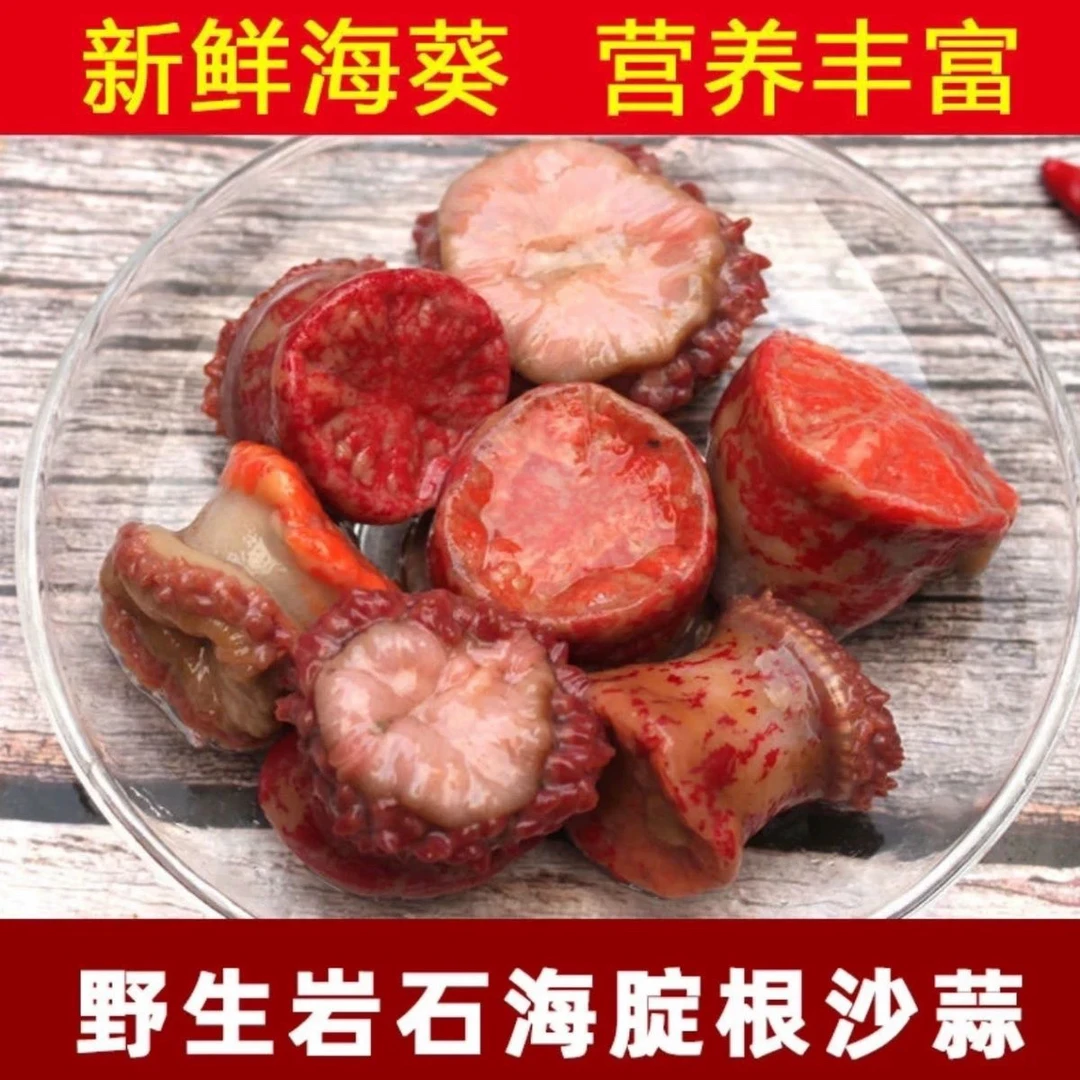 大连红海葵4斤 海定根 海触子 新鲜红沙蒜 海腚根鲜活速冻顺丰