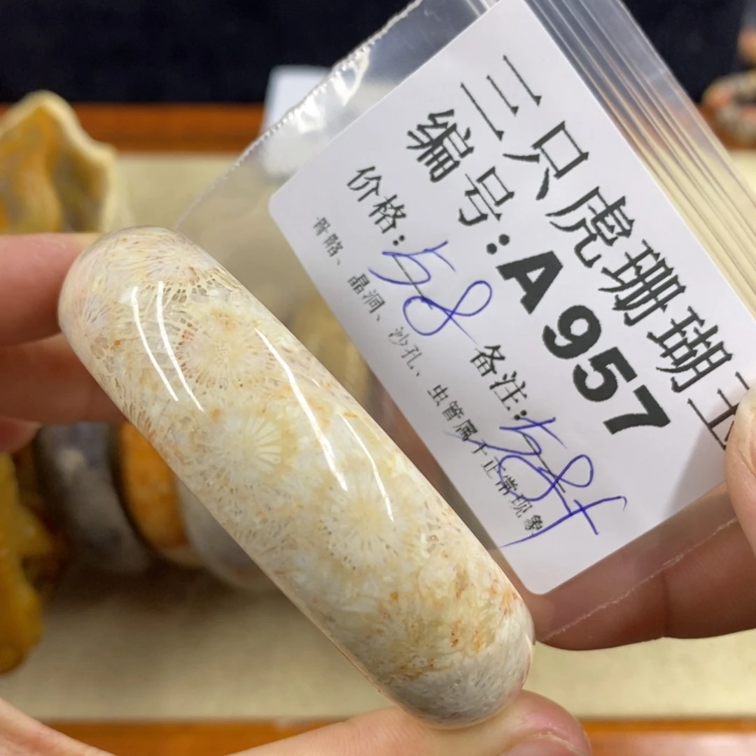 硅化珊瑚（珊瑚玉）1未镶嵌用**忙