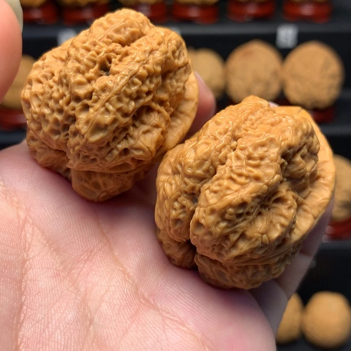 文玩核桃把件臻龙41尺寸