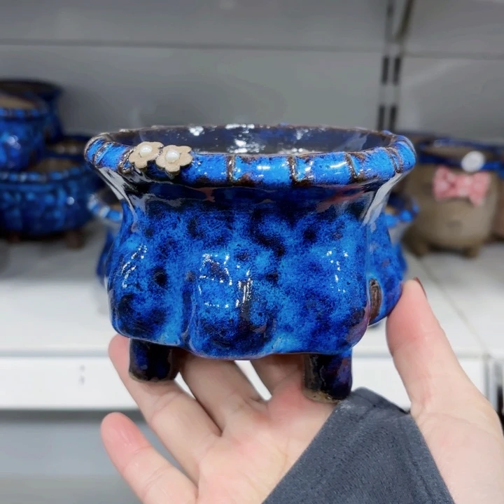 红陶树**止补差价5米，小换大