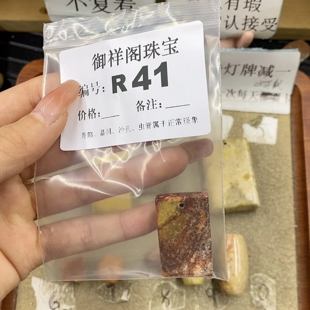 硅化珊瑚（珊瑚玉）未镶嵌颈饰一****儿
