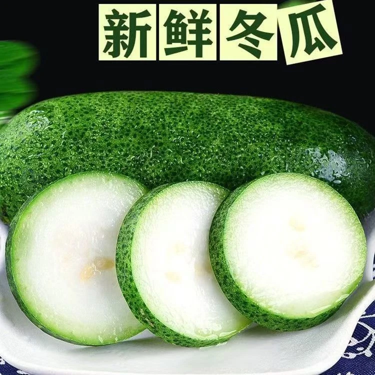 【迷你小冬瓜】新鲜采摘小冬瓜迷你冬瓜煲汤美味营养农家菜小冬瓜