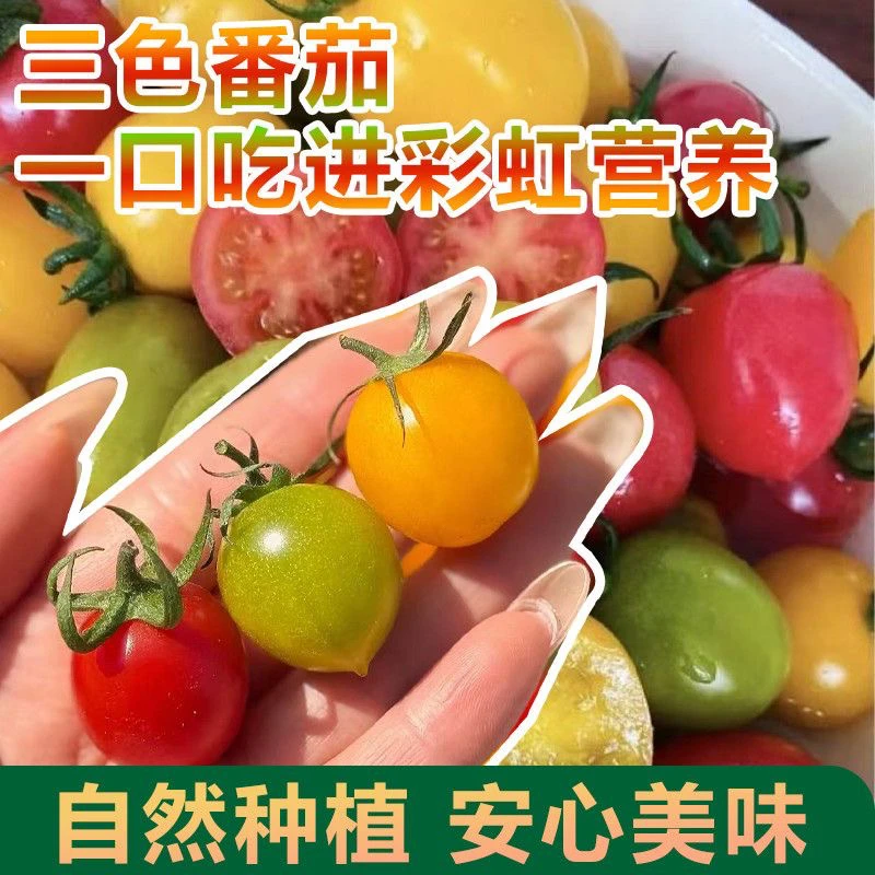 寿光产地青甜2号绿宝石小番茄皮薄多汁三色番茄新鲜水果包邮到家