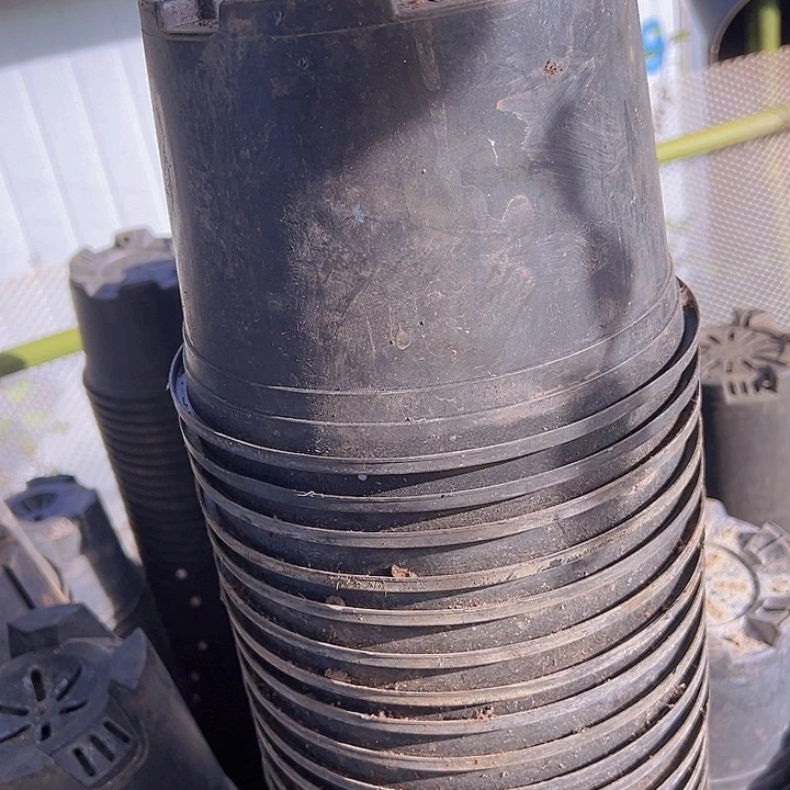 加仑盆口径20高14发10个