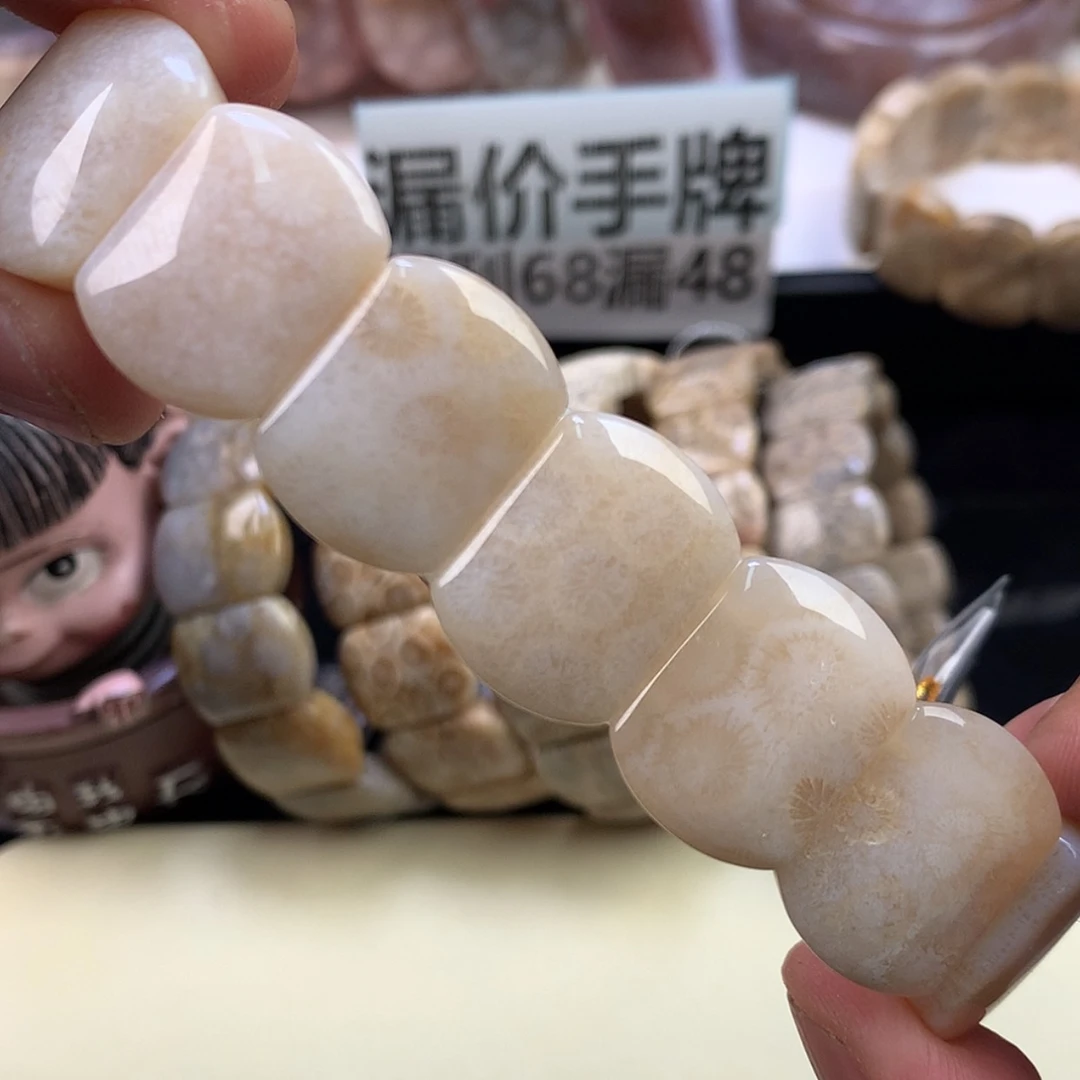 【闪购商品】颈饰未镶嵌硅化珊瑚（珊瑚玉）30号白冰花花超漏