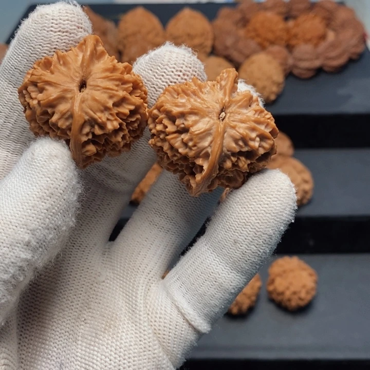 把件文玩核桃简***鱼秦岭野生鸡胗