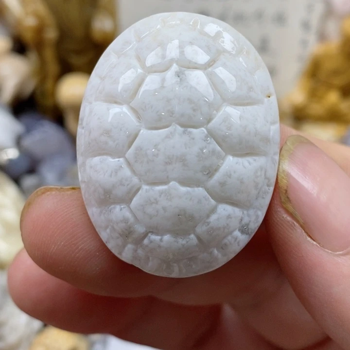 颈饰未镶嵌硅化珊瑚（珊瑚玉）