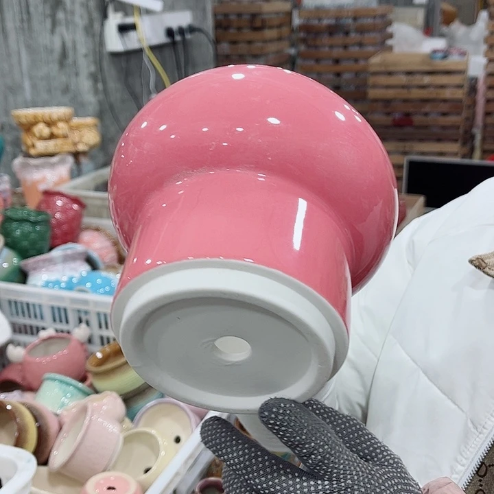 陶瓷正品数量有限