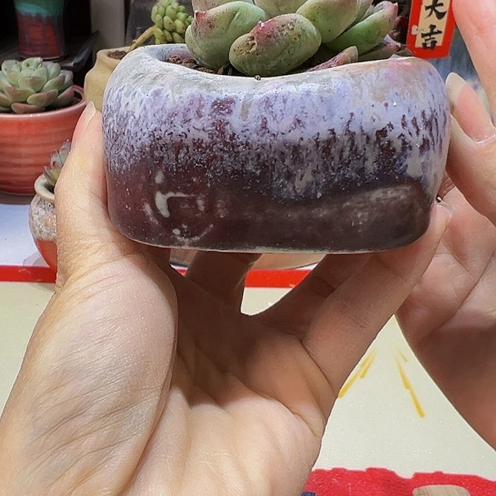 景德镇陶瓷研究所