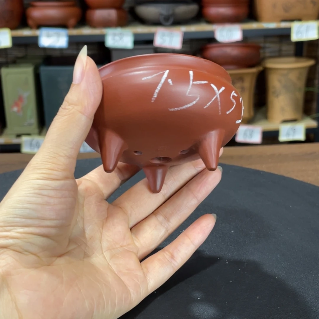 紫砂花盆你就不能让