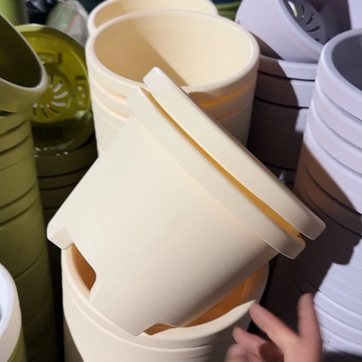 球根26口径6个无托米黄