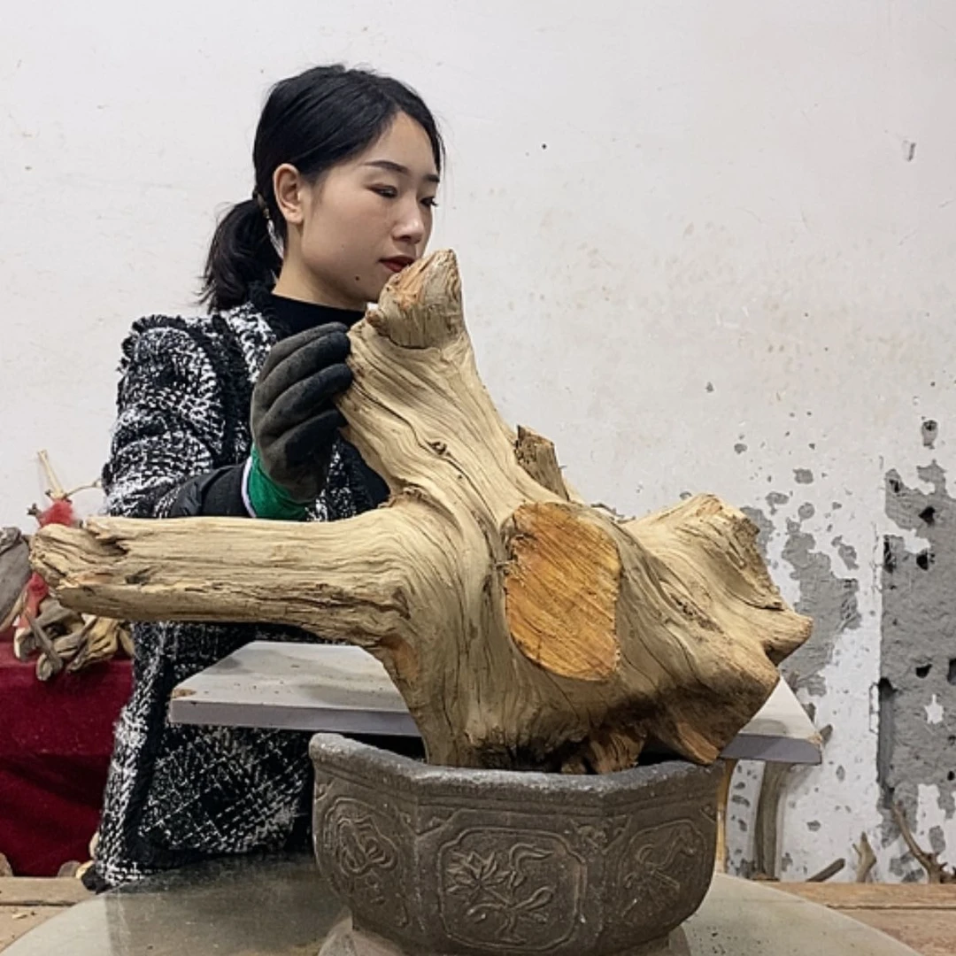 【闪购商品】柏木楚*离我们都是好孩子