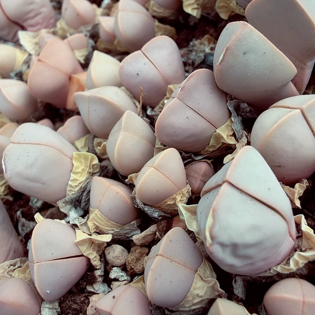 你也快回来吃饭哦我的143