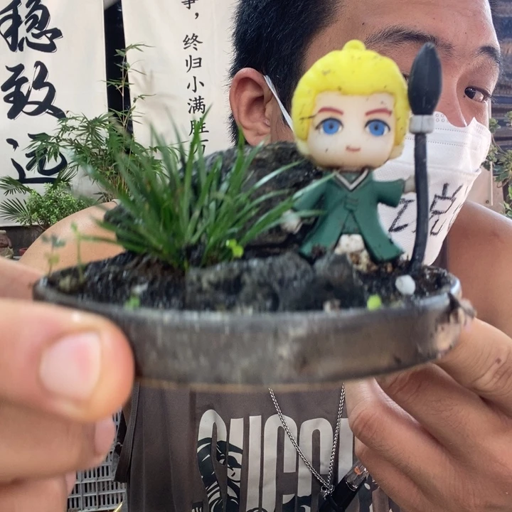 无花朵退款拉黑一物一拍14