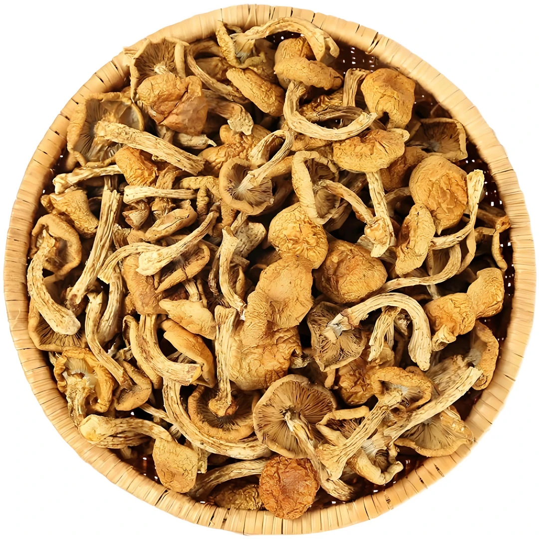 干黄蘑约100g