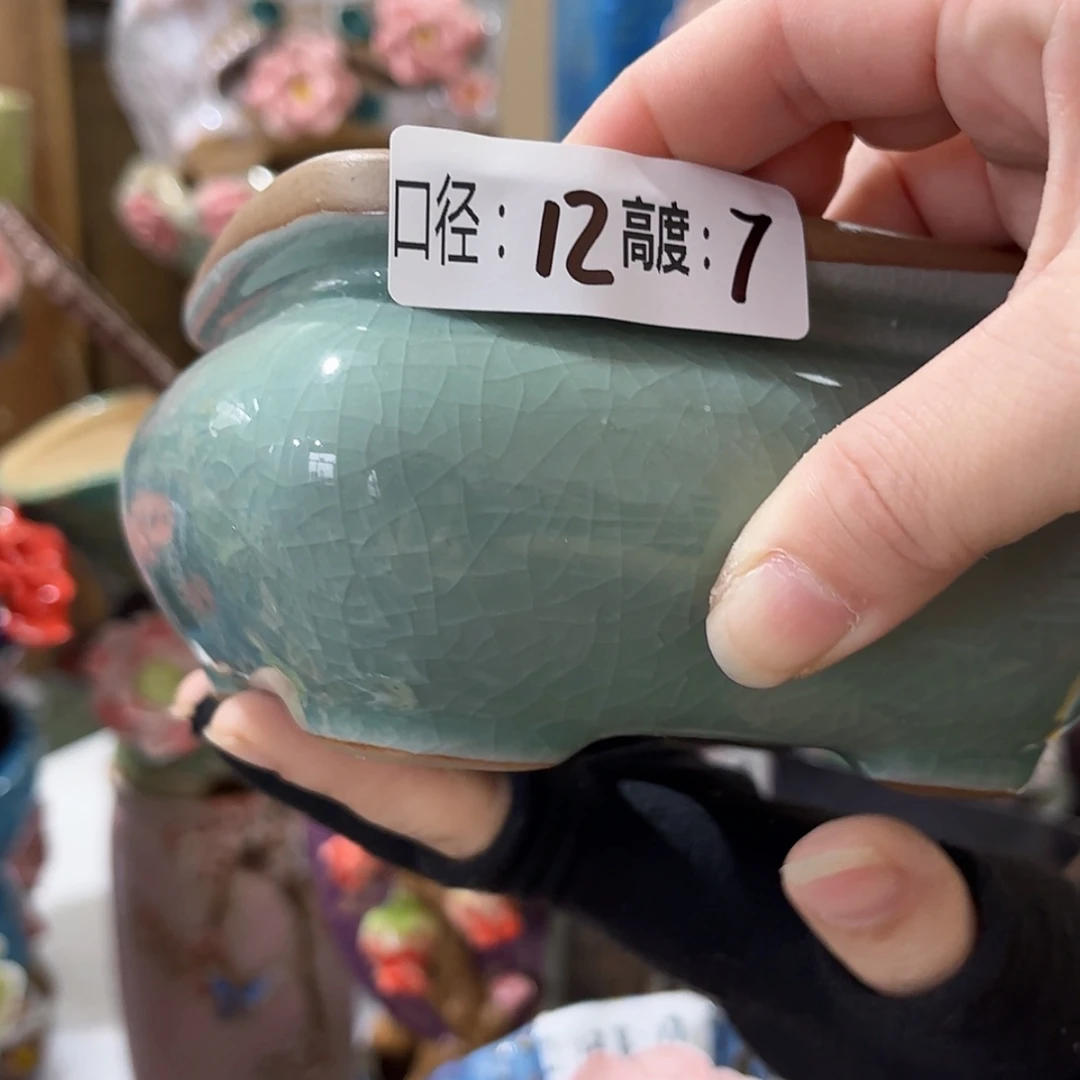 【闪购商品】红陶福利