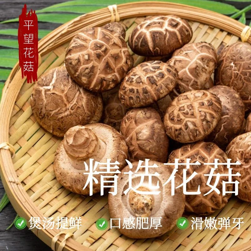 [2级现采新鲜花菇]自然生长低卡美食香菇【平望新鲜花菇】顺丰包邮