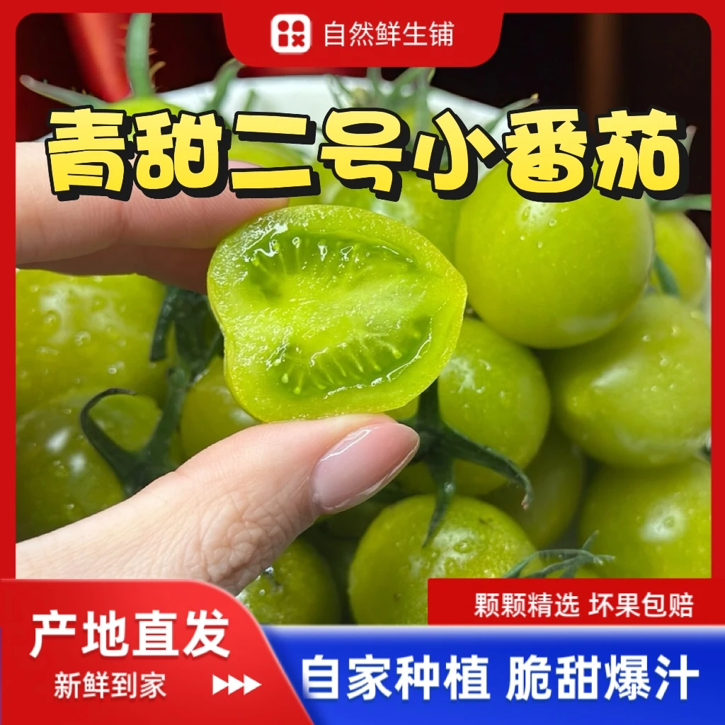 【青甜二号小番茄】山东寿光绿色圣女果脆甜爆汁新鲜采摘坏果包赔