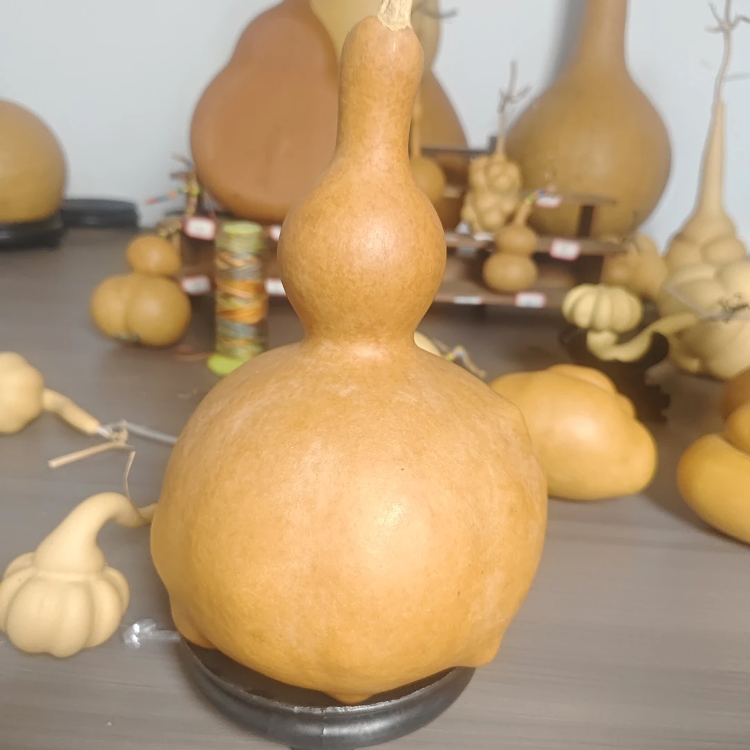 48厘米老皮大葫芦有瑕疵可视频看货烙画做工实用