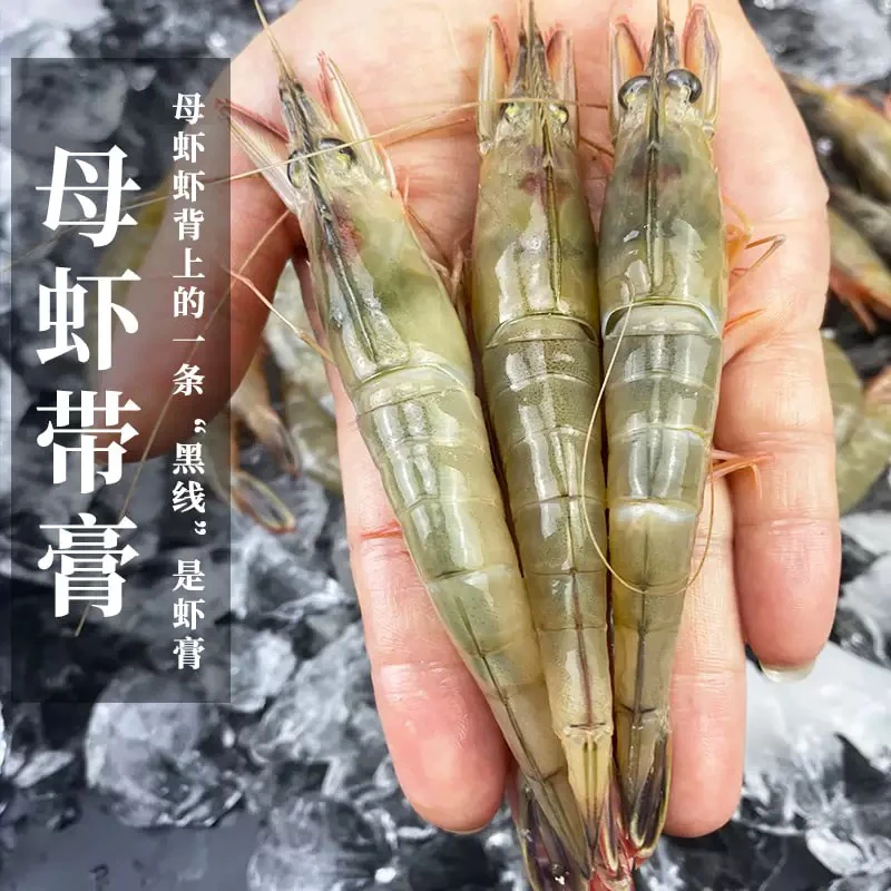 【东海野生大号滑皮虾4斤】1斤60头左右超低温锁鲜发货