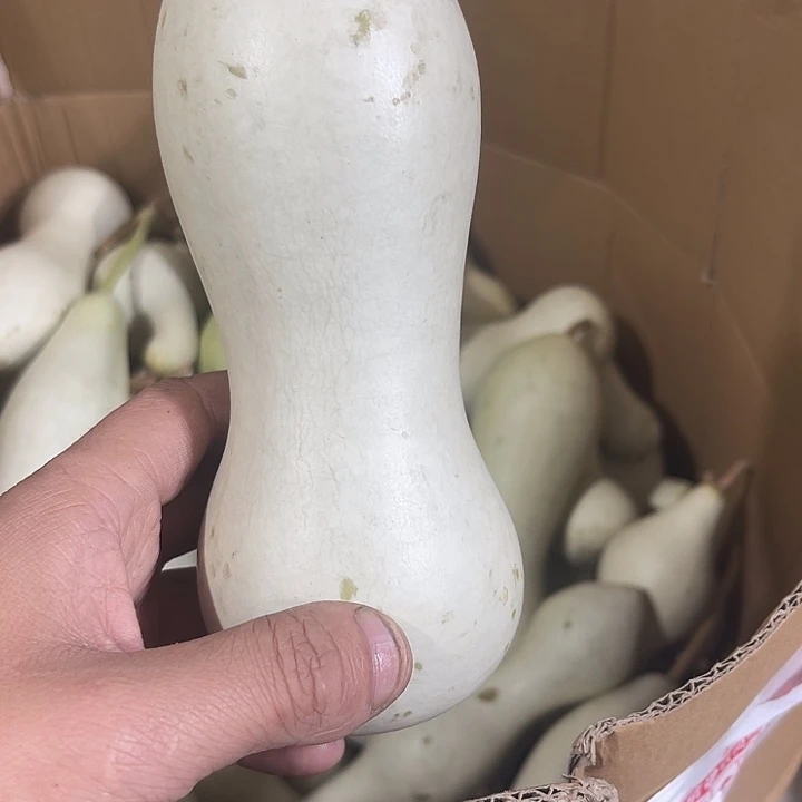 非洲紫檀（红花梨）詹****r