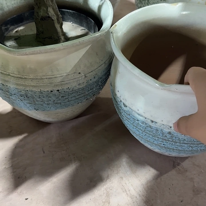 花盆花盆花盆花盆花盆564