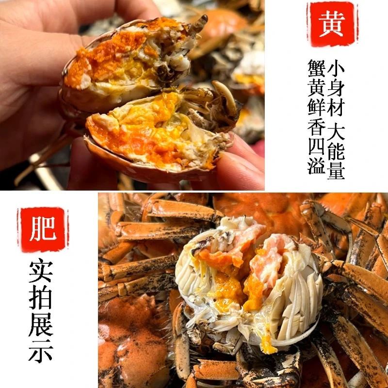 【活蟹】蟹娘舅河蟹母蟹单只0.8-1两30-50只3斤装