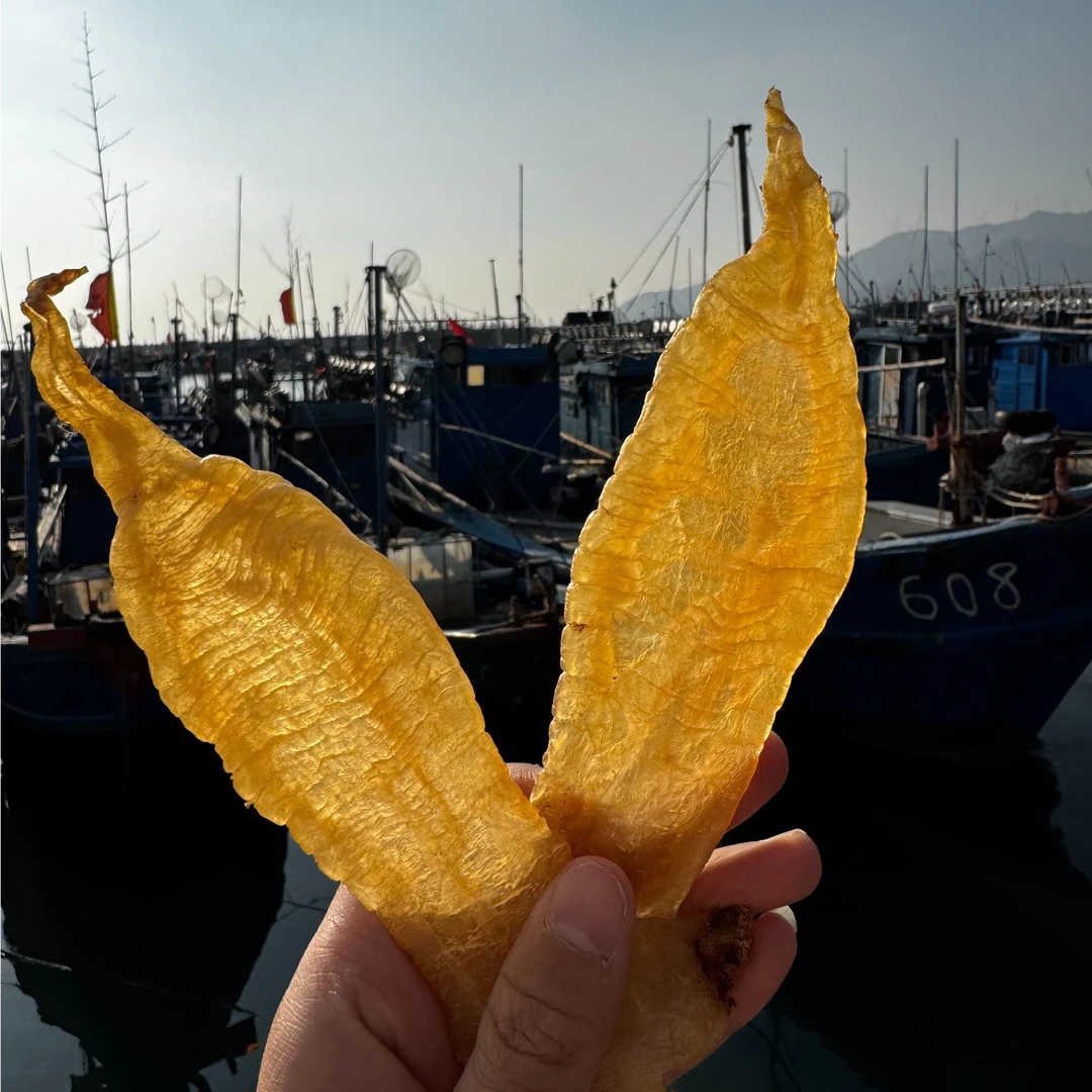 南澳岛本港自晒赤嘴鱼胶