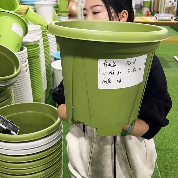 清仓青山口32高28果绿5只无托