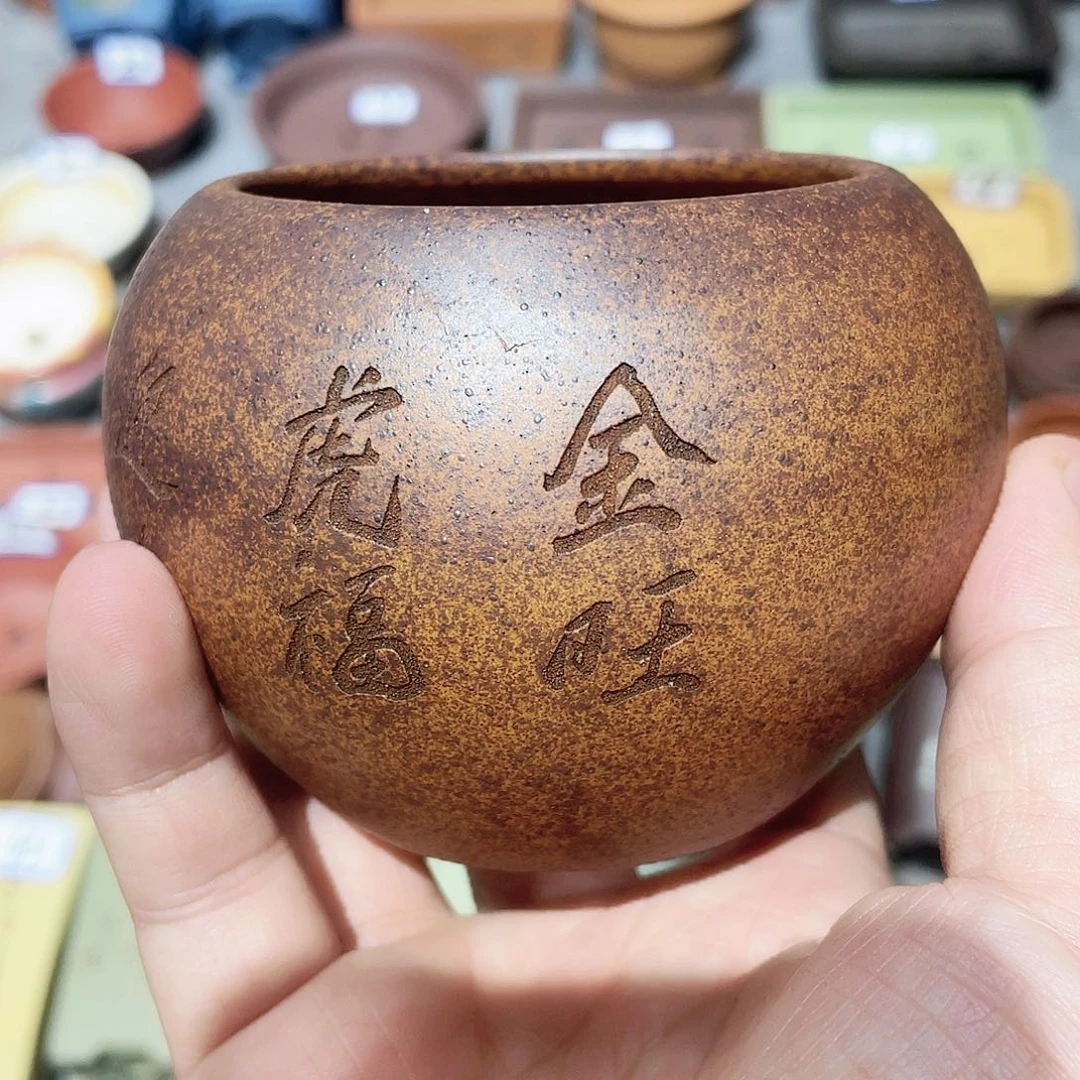 紫砂小盆6.5*6cmmmm