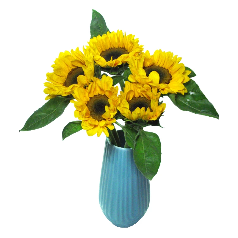 鲜花中大向日葵3支 【全场任意满两单包邮  空运鲜花次日达】