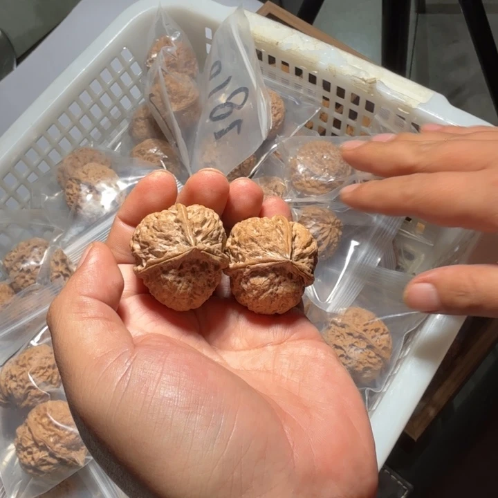 文玩核桃把件铁3号珊瑚纹三棱