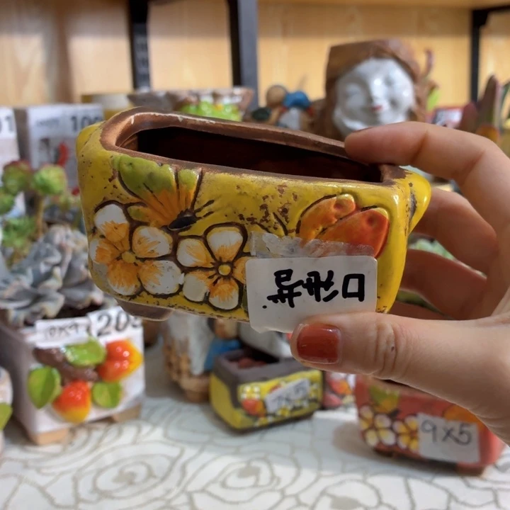 多肉花盆满15包邮，爱退款拉黑