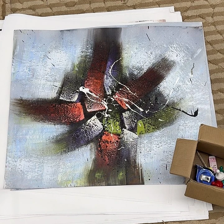 国画坎****龙花鸟等多种鸟类的栖息地和栖息地