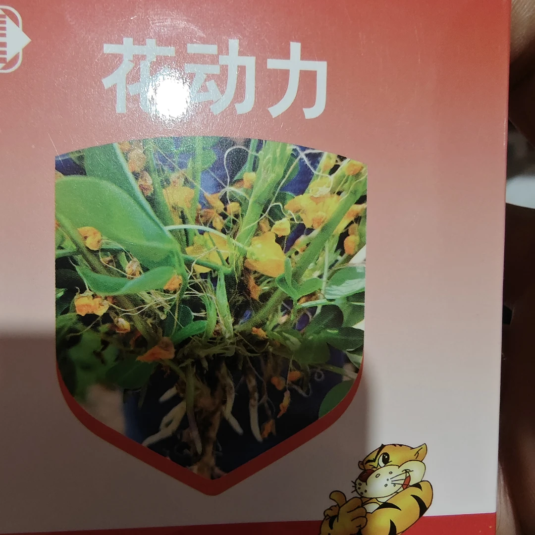 花生开花早三天下针多一倍