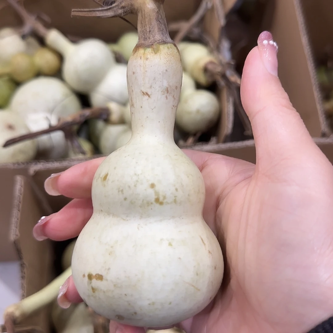 刘***呵葫芦轰隆隆隆隆隆隆