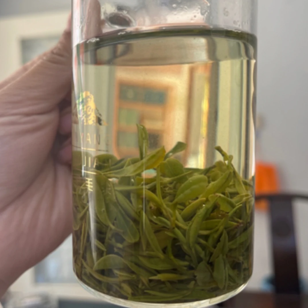 信阳毛尖(A4)2025高山老旱茶雨前中后期娄头芽叶