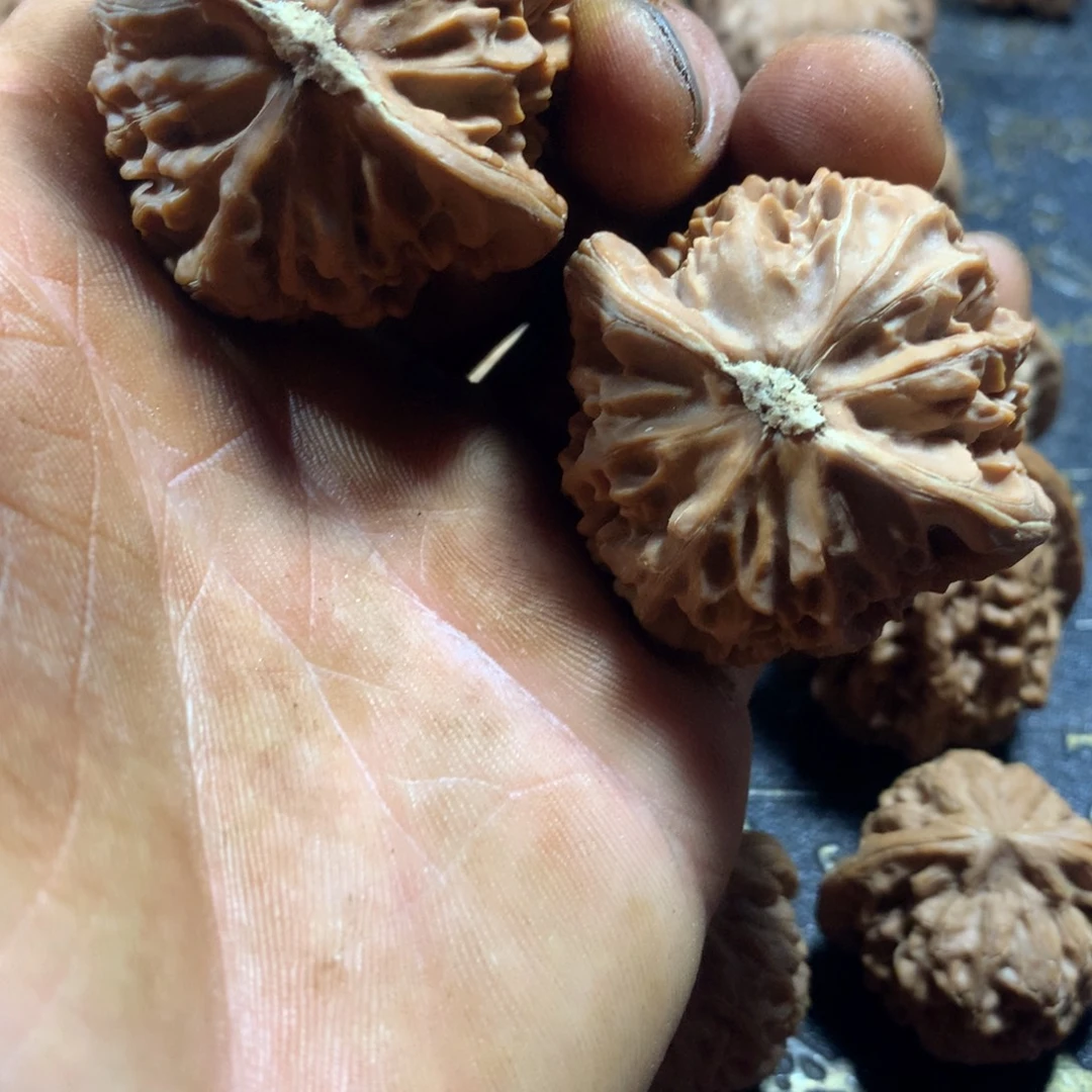 吊坠桃核文玩核桃玉玺宫灯狮子头45