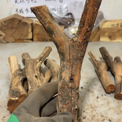 大果紫檀（缅甸花梨）傻*