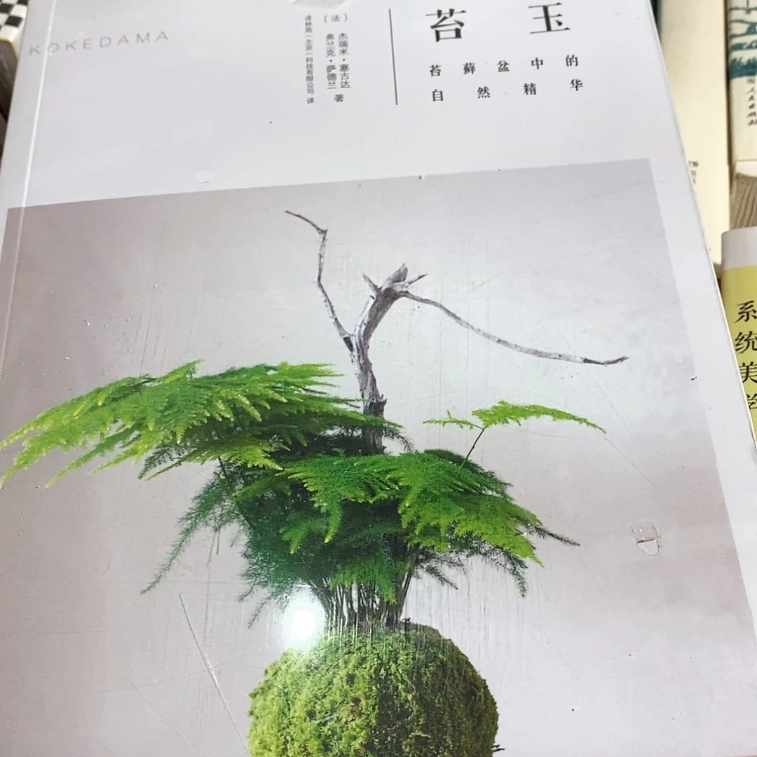 苔玉……………………………………