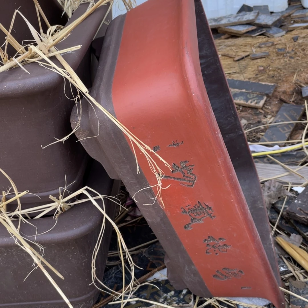 紫砂60cm 一只 红