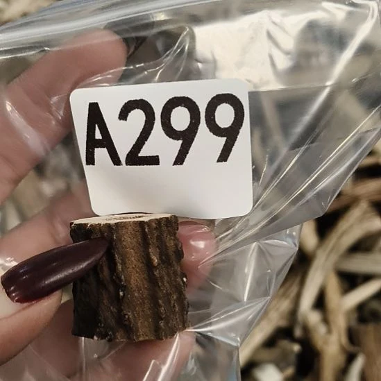 熊****鹿角鹿角鹿角角鹿角角鹿角